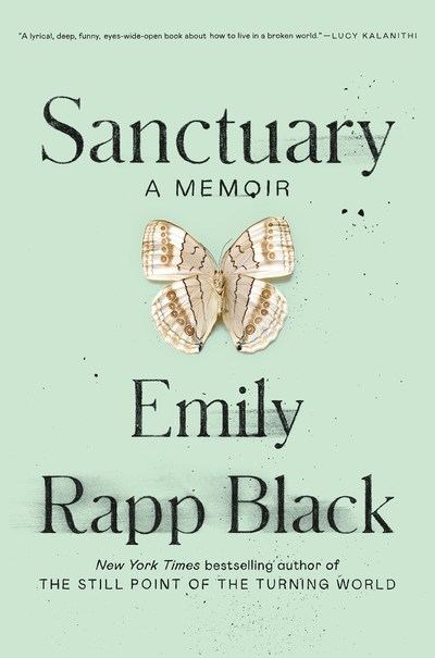 Book Review Sanctuary By Emily Rapp Black Bookpage