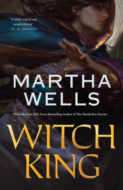 Book jacket image for Witch King by Martha Wells