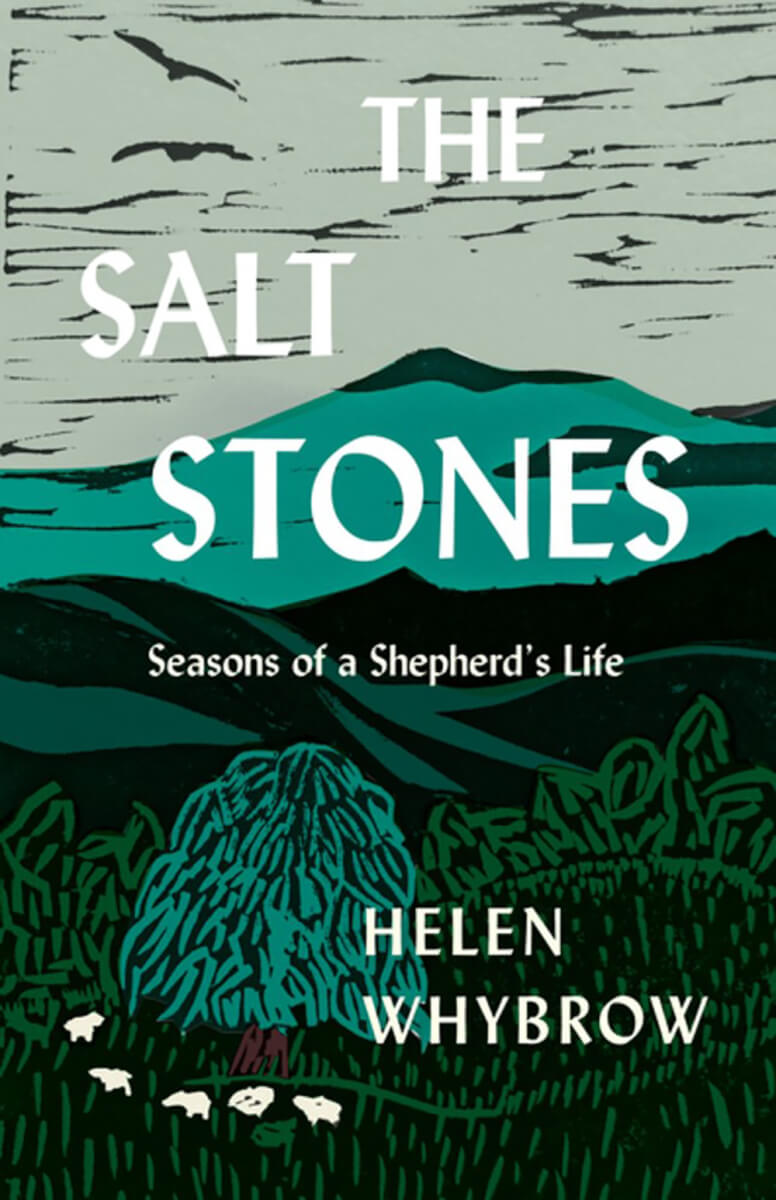 Book review of The Salt Stones by Helen Whybrow