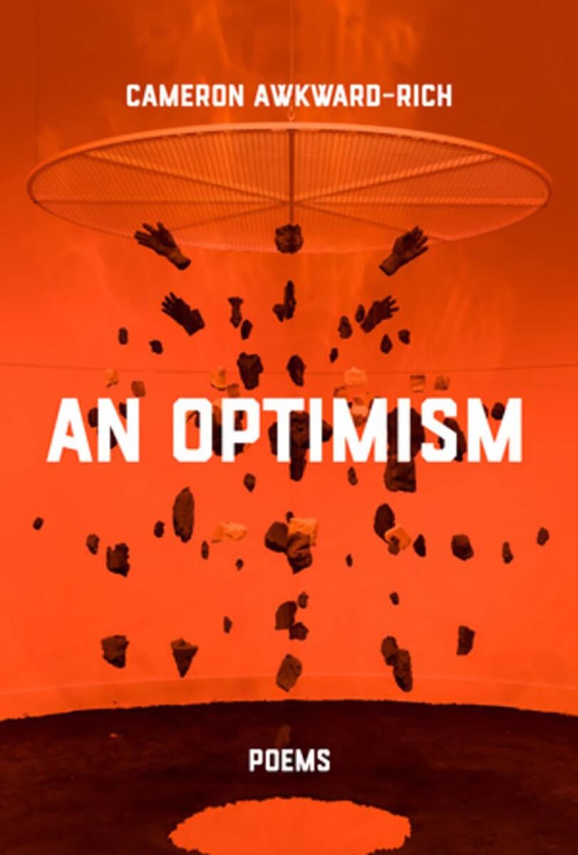 Book review of An Optimism by Cameron AwkwardRich