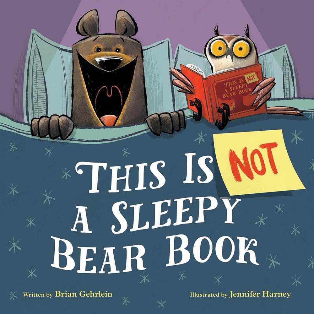 Book review of This is Not a Sleepy Bear Book by Brian Gehrlein