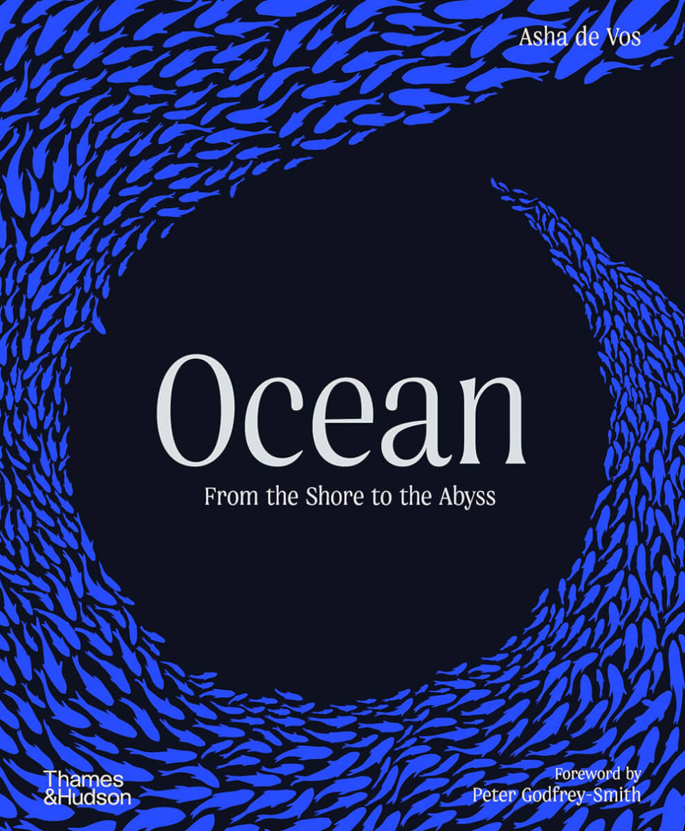Book review of Ocean by Asha de Vos