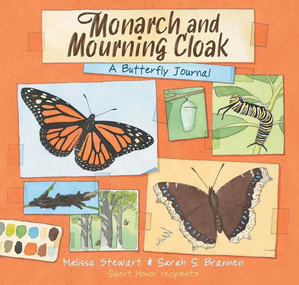 Book review of Monarch and Mourning Cloak by Melissa Stewart
