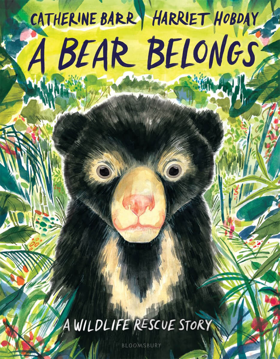 A Bear Belongs