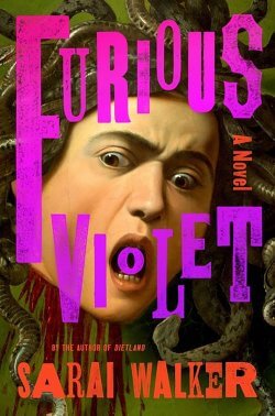Book jacket image for Furious Violet by Sarai Walker