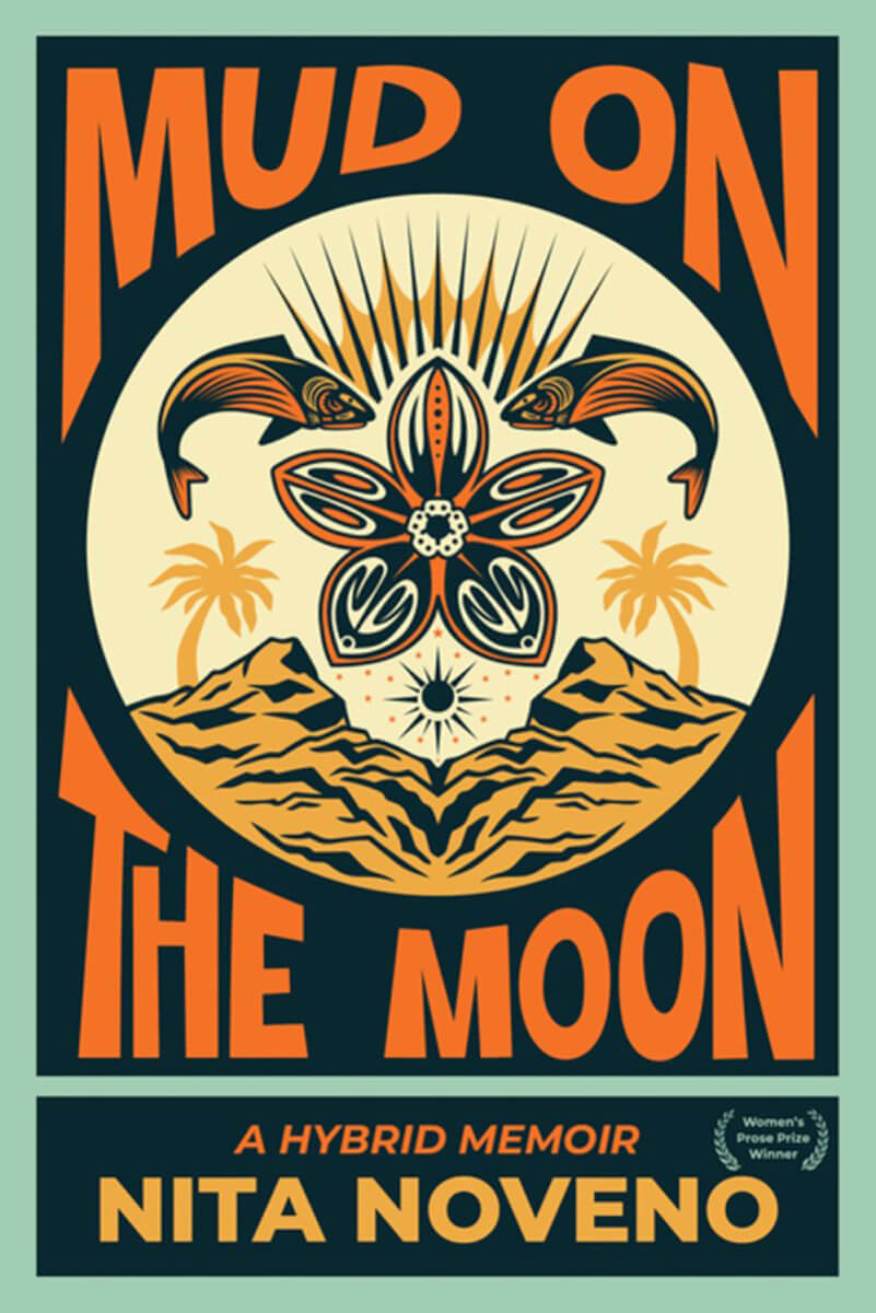 Mud on the Moon